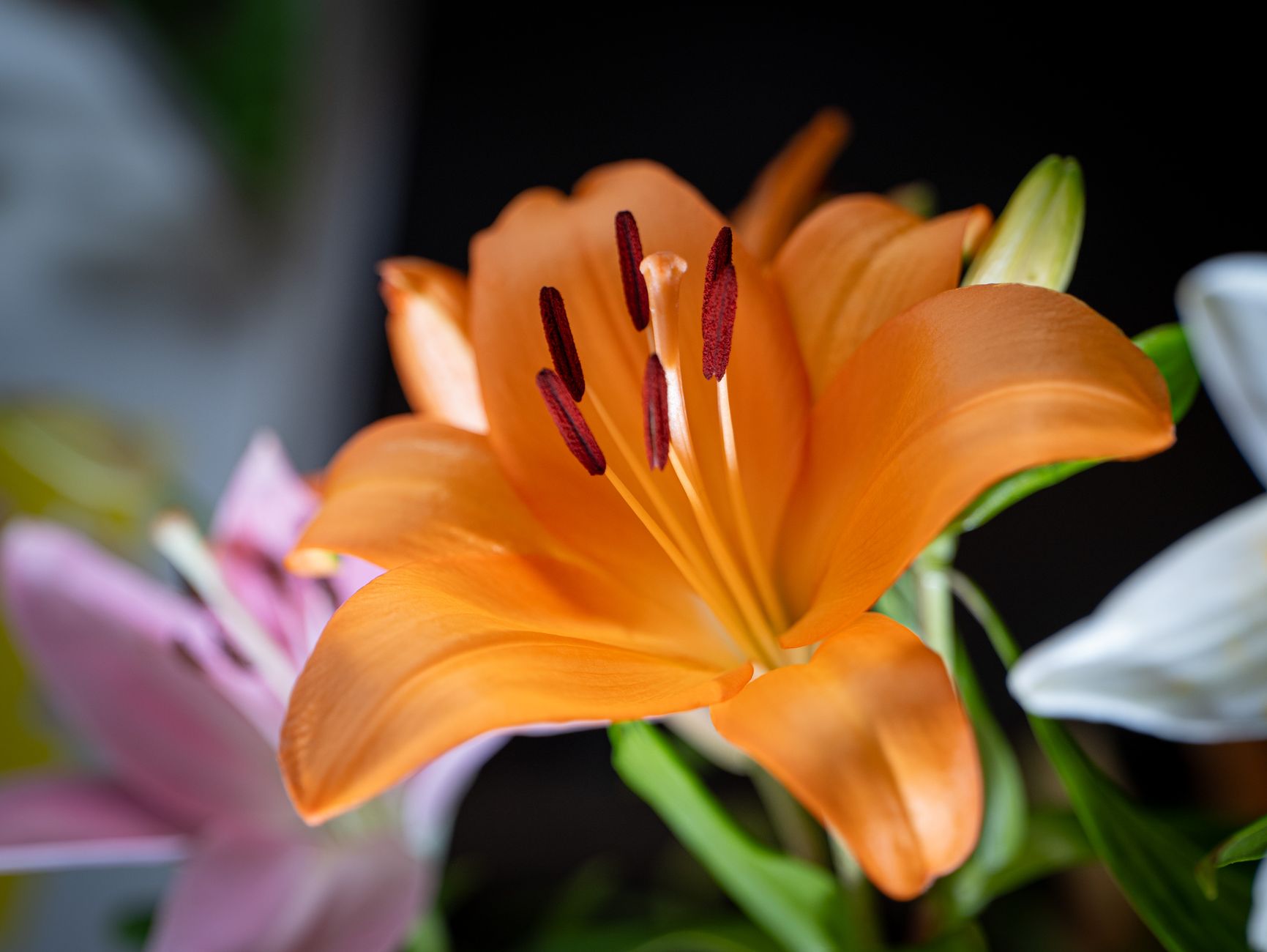 Livraison fleurs Monaco